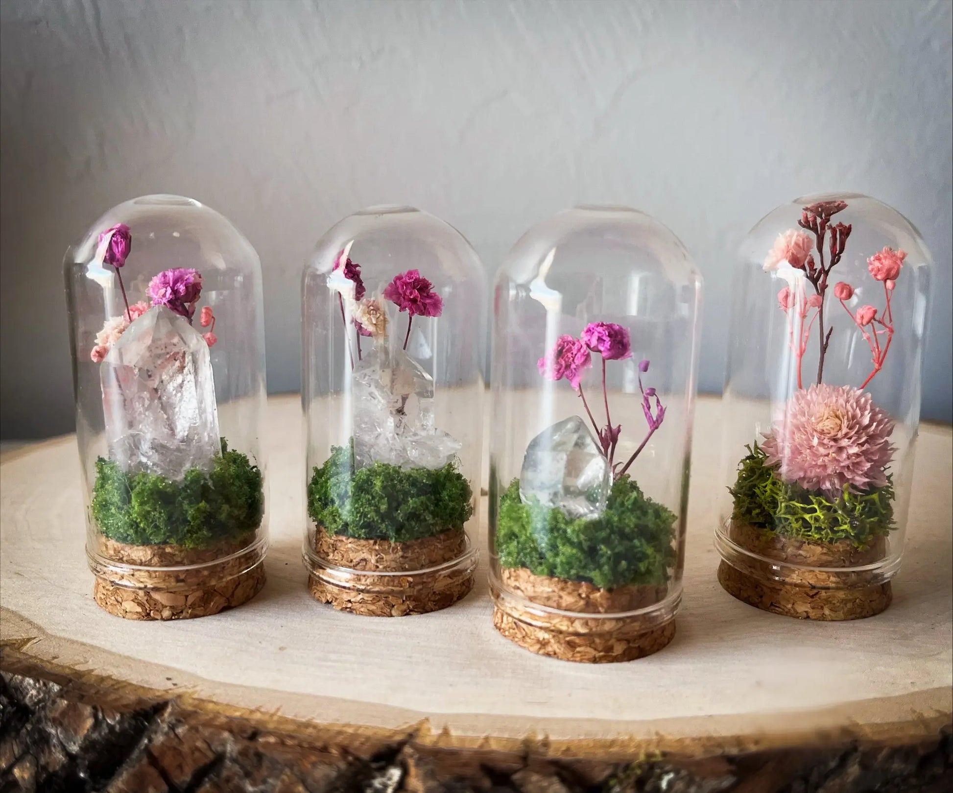 Mini Glass Floral Cloche Terrarium Bloomspell Apothecary
