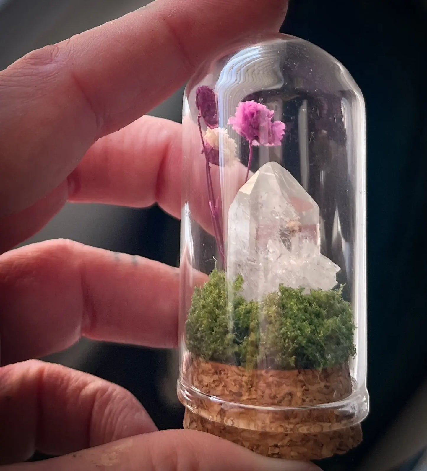 Mini Glass Floral Cloche Terrarium Bloomspell Apothecary