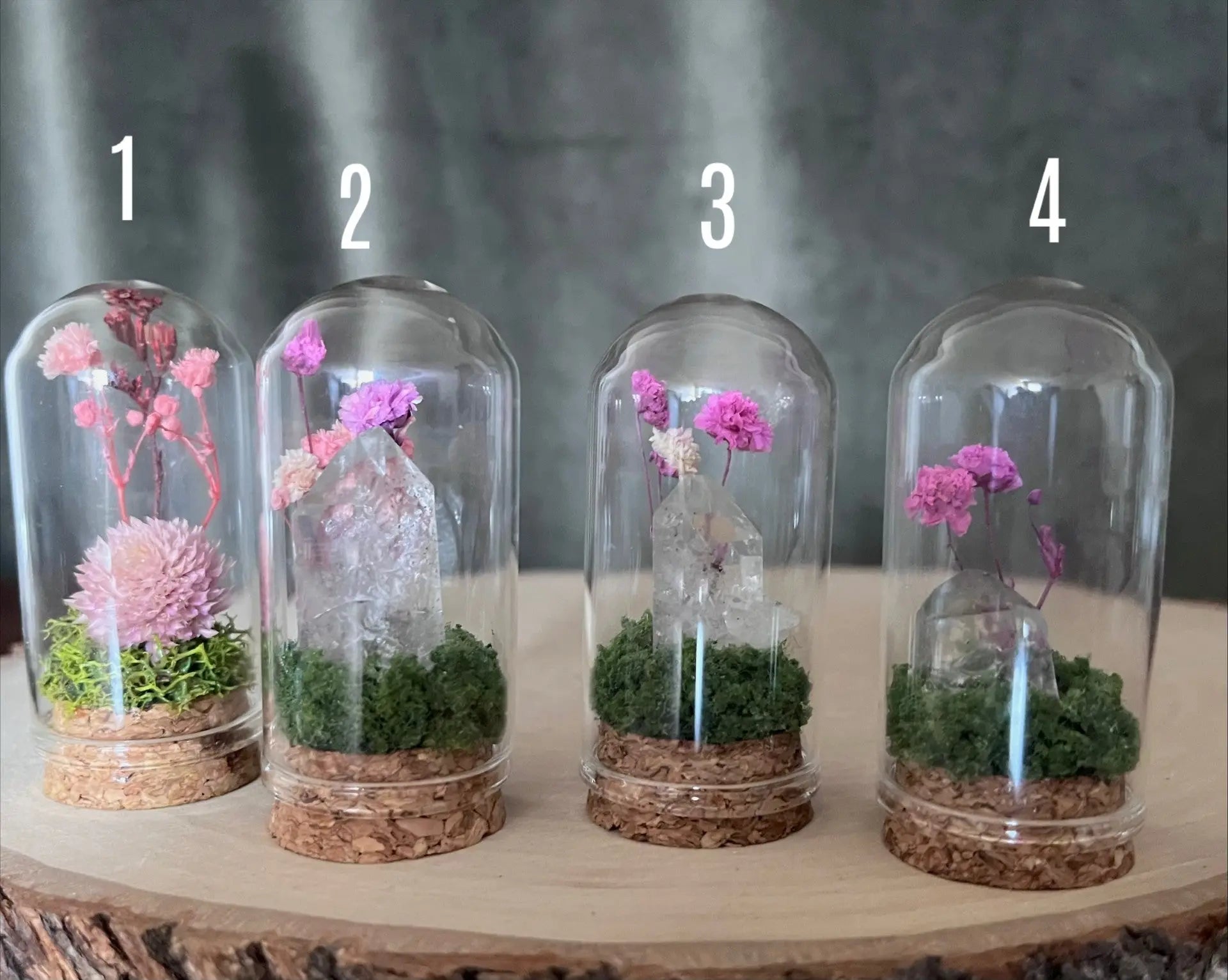 Mini Glass Floral Cloche Terrarium Bloomspell Apothecary