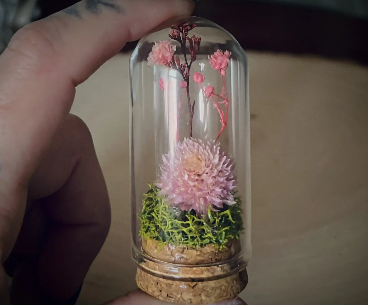 Mini Glass Floral Cloche Terrarium Bloomspell Apothecary