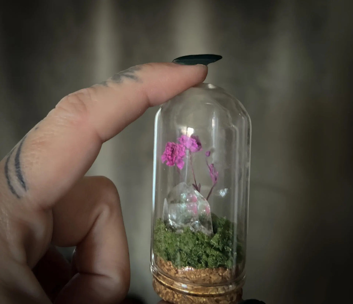 Mini Glass Floral Cloche Terrarium Bloomspell Apothecary